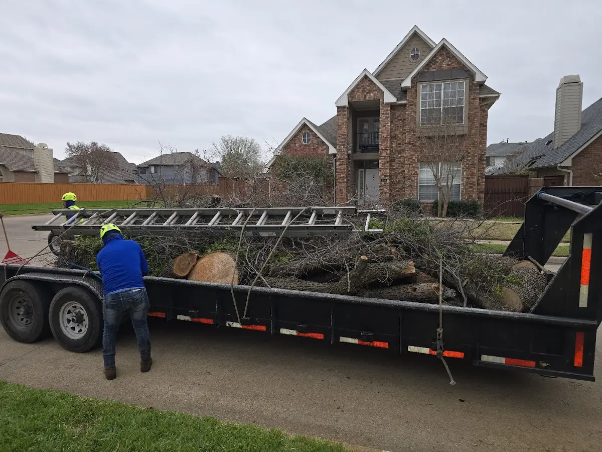 Expert Lot Clearing with proper safety equipment in Brookfield